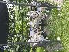 20210608_123059.jpg