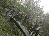 geografija_2020-09-30_10_t1.jpg