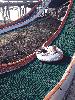 20200923_130707_t1.jpg