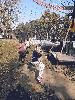20200923_131815_t1.jpg