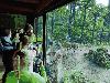 120735216_332520347836512_1138689050582012179_n_t1.jpg