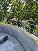 120736343_350343866080518_5818742339577361095_n_t1.jpg