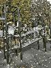 121454896_2754525741455443_7165171891096332451_n_t1.jpg