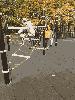 20201023_104121_t1.jpg