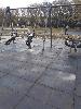 20201023_104509_t1.jpg