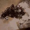 20201214_230043_t1.jpg