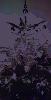 20201228_133324_t1.jpg