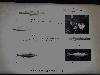 20210325_162353_t1.jpg