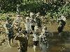 img_7881_t1.jpg
