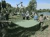 img_7884_t1.jpg