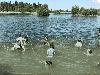 img_7888_t1.jpg