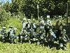 img_7891_t1.jpg