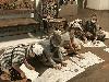 img_8169_t1.jpg