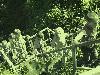 img_8251_t1.jpg