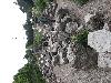 20210608_131540_t1.jpg