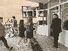 20210901_50_t1.jpg