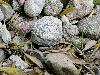 atminties_kelias_2021-09-23_28_t1.jpg