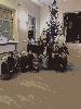 20221216_095154_t1.jpg
