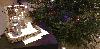 20221223_081749_t1.jpg