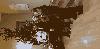 krd_2022-12-23_27_t1.jpg