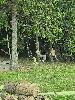 32fe0607-c73f-4c6d-9565-b3544a881df8_t1.jpg