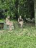 f9592719-7f58-4b83-80cb-170d373e8290_t1.jpg