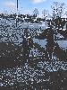 20250325_111021_t1.jpg