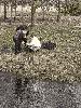 20250325_112216_t1.jpg
