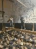 20250328_121706_t1.jpg