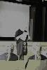 img_6555_t1.jpg
