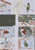 20250415_070657_t1.jpg