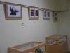 p1010018_t1.jpg